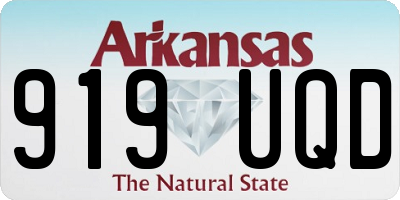 AR license plate 919UQD
