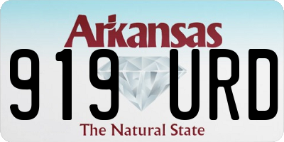 AR license plate 919URD
