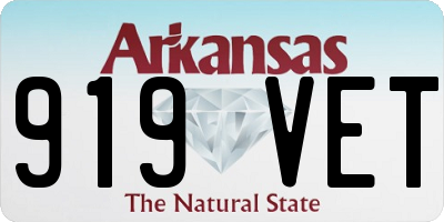 AR license plate 919VET