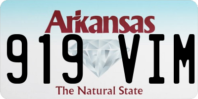AR license plate 919VIM