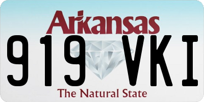 AR license plate 919VKI
