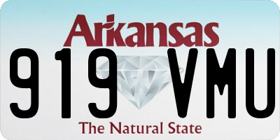 AR license plate 919VMU