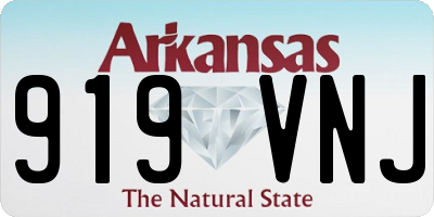 AR license plate 919VNJ