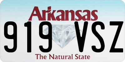 AR license plate 919VSZ