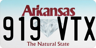AR license plate 919VTX