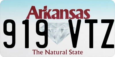AR license plate 919VTZ