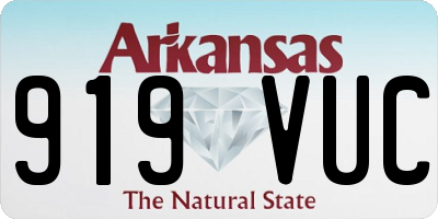 AR license plate 919VUC