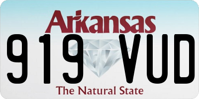 AR license plate 919VUD