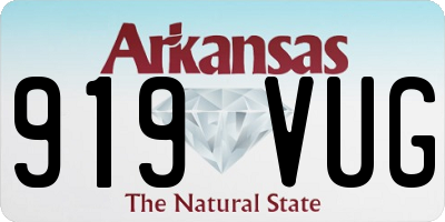 AR license plate 919VUG