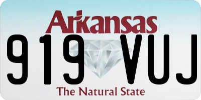 AR license plate 919VUJ