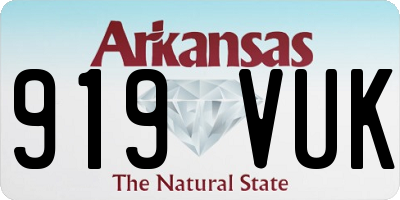 AR license plate 919VUK