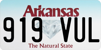AR license plate 919VUL