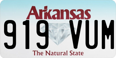 AR license plate 919VUM