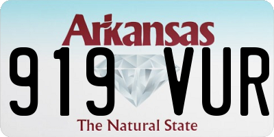 AR license plate 919VUR