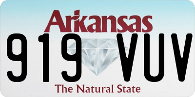 AR license plate 919VUV