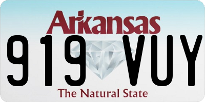 AR license plate 919VUY