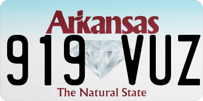 AR license plate 919VUZ