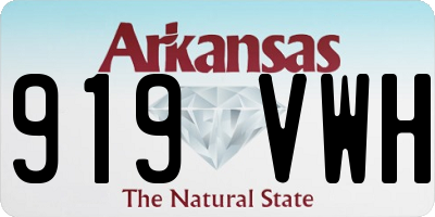 AR license plate 919VWH