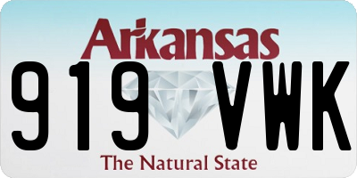 AR license plate 919VWK