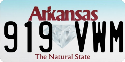 AR license plate 919VWM
