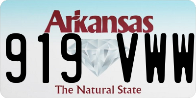 AR license plate 919VWW