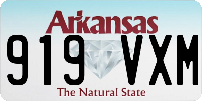 AR license plate 919VXM