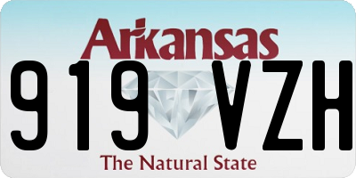 AR license plate 919VZH