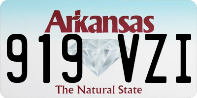 AR license plate 919VZI