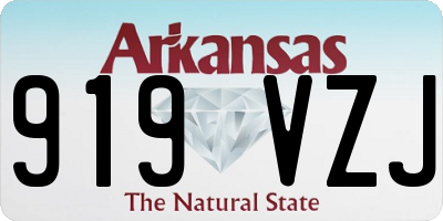 AR license plate 919VZJ