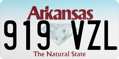 AR license plate 919VZL
