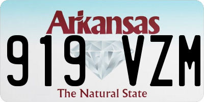 AR license plate 919VZM