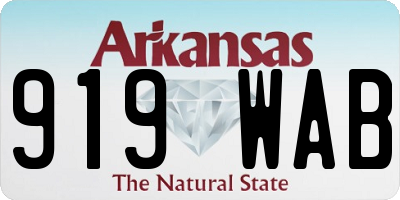 AR license plate 919WAB