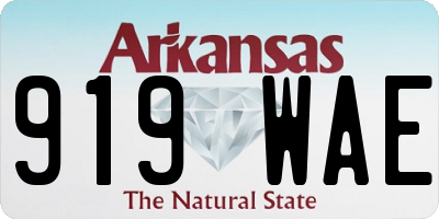 AR license plate 919WAE