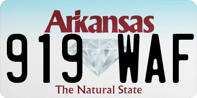 AR license plate 919WAF