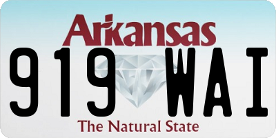 AR license plate 919WAI