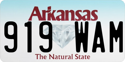 AR license plate 919WAM