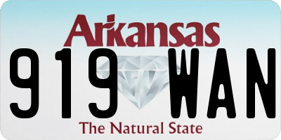 AR license plate 919WAN