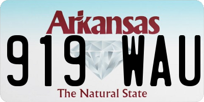 AR license plate 919WAU