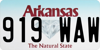 AR license plate 919WAW