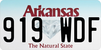 AR license plate 919WDF