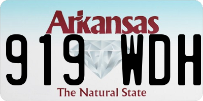 AR license plate 919WDH