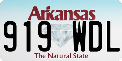 AR license plate 919WDL
