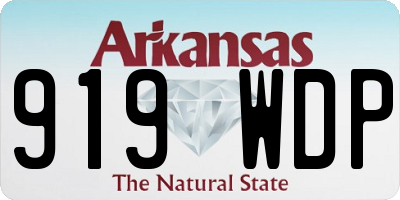 AR license plate 919WDP