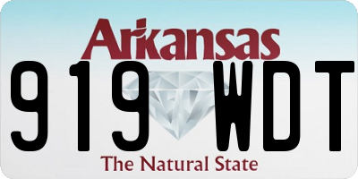 AR license plate 919WDT