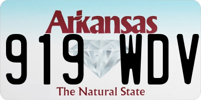 AR license plate 919WDV