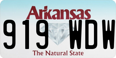 AR license plate 919WDW