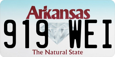 AR license plate 919WEI