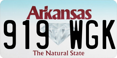 AR license plate 919WGK