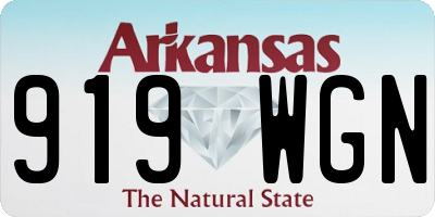 AR license plate 919WGN