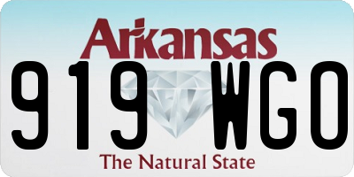 AR license plate 919WGO